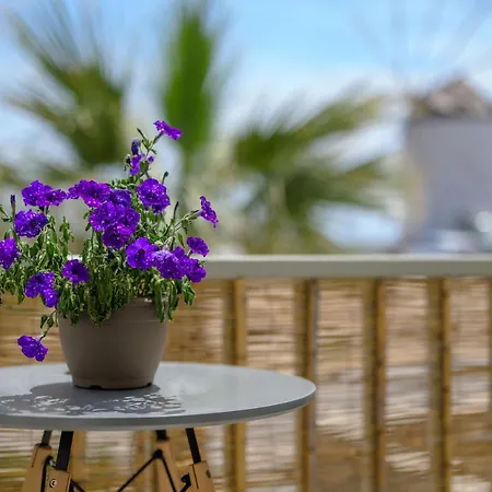 Meltemi Αντίπαρος